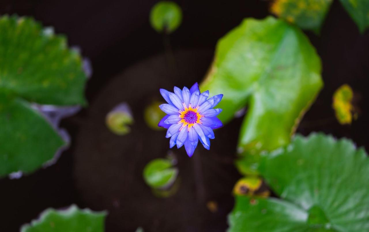 Leeloo Paradise Khanom Dış mekan fotoğraf